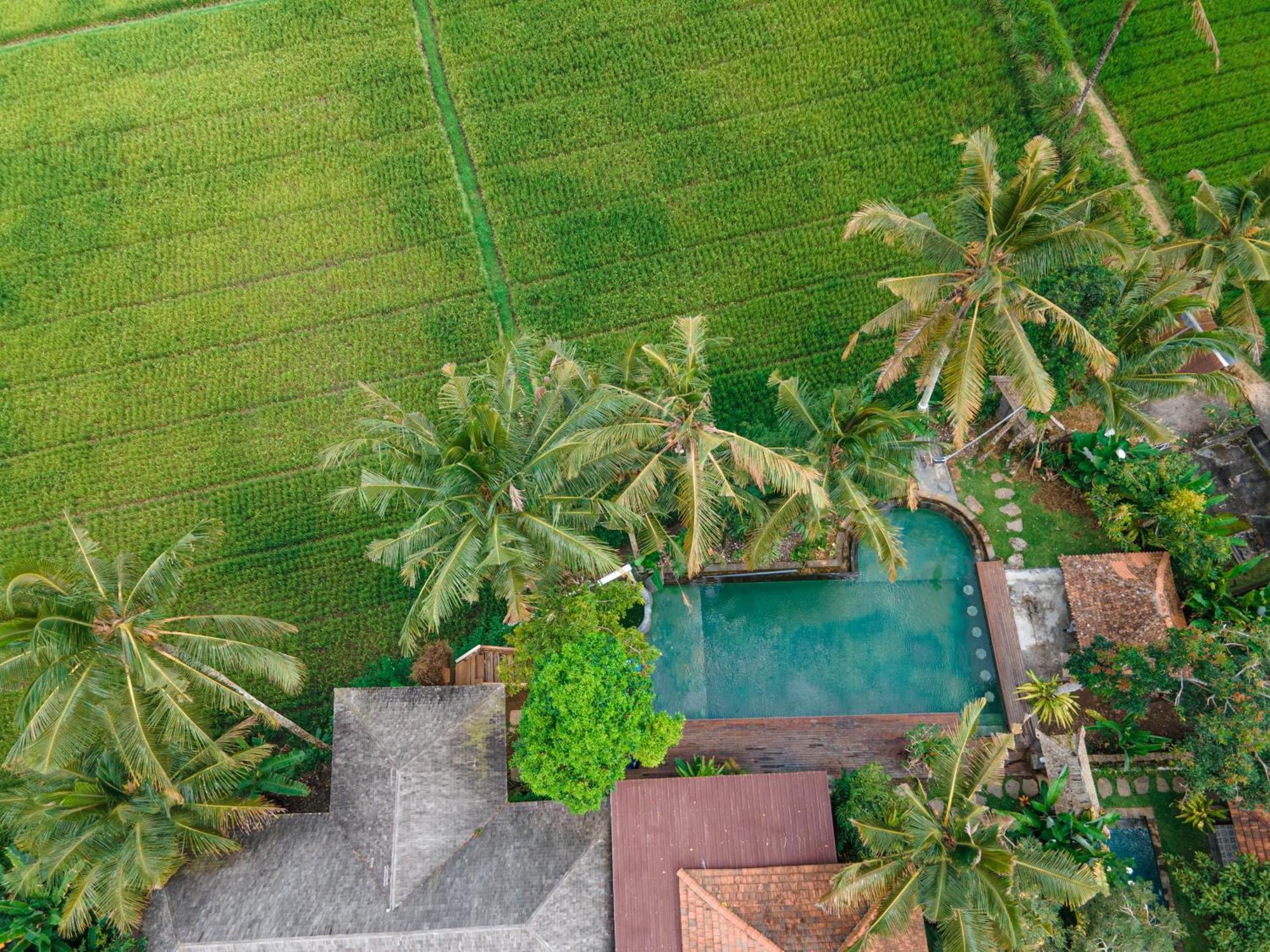 Uma Linggah Resort By Puri Signatures Tampaksiring Eksteriør bilde